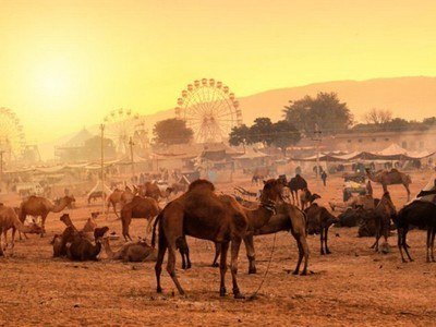 Golden Triangle & Bequest Rajasthan